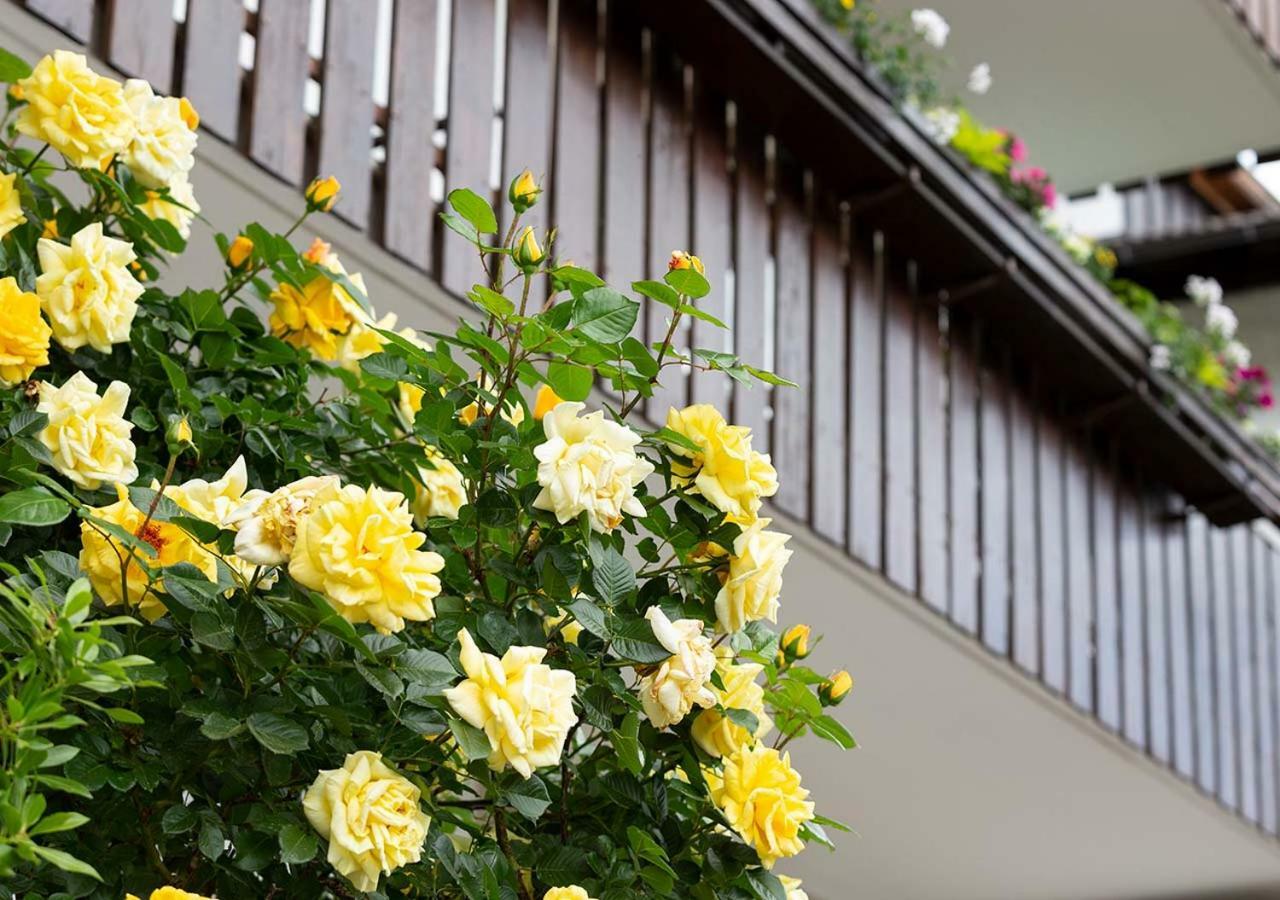 Appartement Karnutsch Schenna Ngoại thất bức ảnh